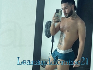 leananddominc21 Archive DVD BIZ