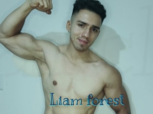liam_forest Archive DVD BIZ