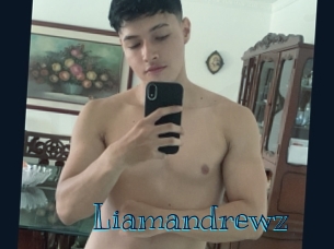 liamandrewz Archive DVD BIZ