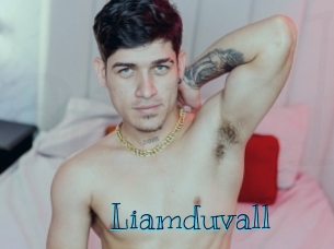 liamduvall Archive DVD BIZ