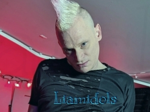 liamidols Archive DVD BIZ