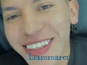 liammarco Archive DVD BIZ