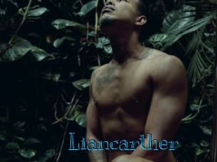 liancarther Archive DVD BIZ