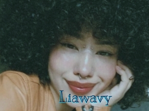 liawavy Archive DVD BIZ