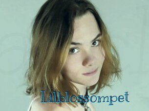 Lilblossompet