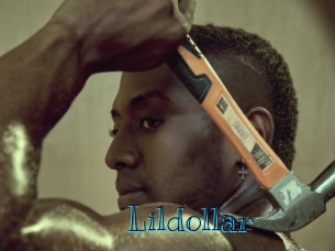 Lildollar