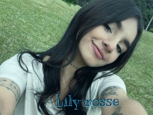 Lily_rosse