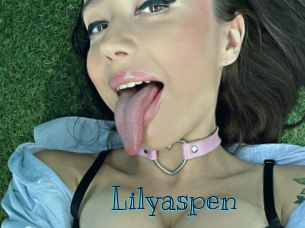 lilyaspen Archive DVD BIZ