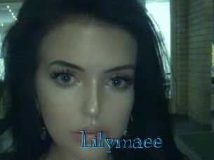 Lilymaee