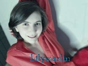 lilymarlin Archive DVD BIZ