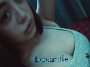 linamile Archive DVD BIZ