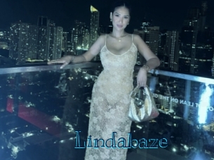 lindabaze Archive DVD BIZ
