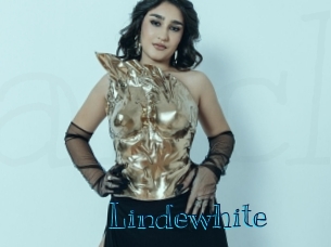 lindewhite Archive DVD BIZ