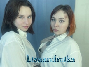 Lisaandmika