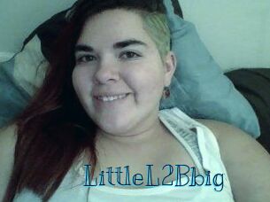 LittleL2Bbig