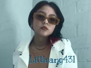 littleang43l Archive DVD BIZ
