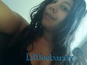 Littleebunny