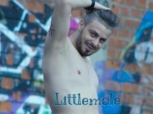 Littlemole