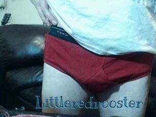Littleredrooster