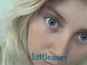 littlesary Archive DVD BIZ