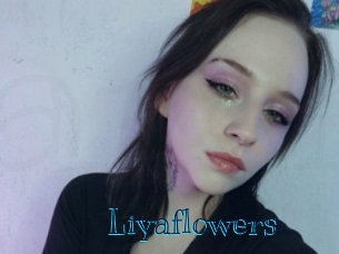 liyaflowers Archive DVD BIZ