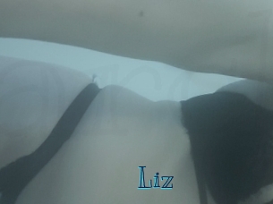 Liz