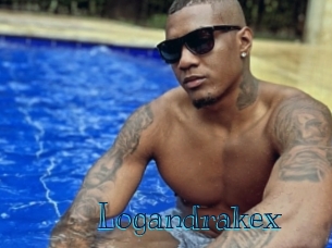 logandrakex Archive DVD BIZ