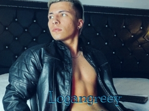 logangreey Archive DVD BIZ