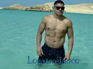 loganvelasco Archive DVD BIZ