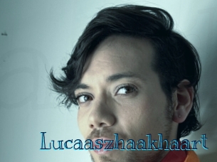 lucaaszhaakhaart Archive DVD BIZ