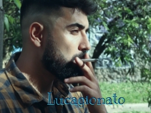 lucagionato Archive DVD BIZ