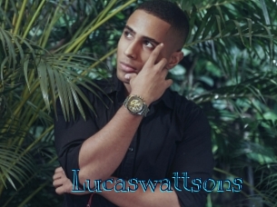 lucaswattsons Archive DVD BIZ
