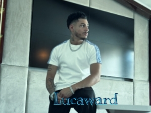 lucaward Archive DVD BIZ