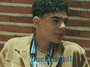 Luckrabbit