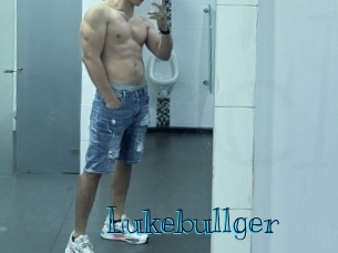 lukebullger Archive DVD BIZ
