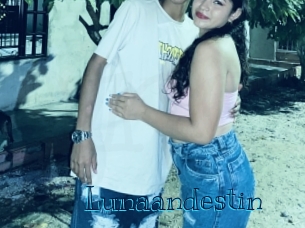Lunaandestin