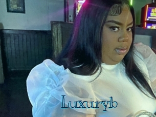 luxuryb Archive DVD BIZ