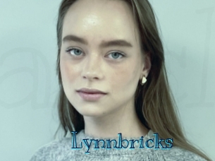 Lynnbricks