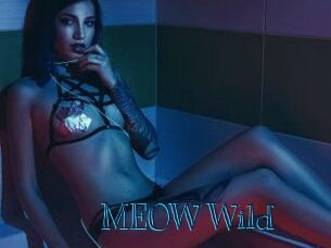 MEOW_Wild