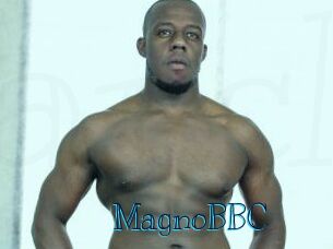 MagnoBBC Archive DVD BIZ