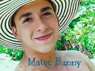 Mateo_Bunny