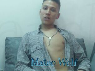 Mateo_Wolf