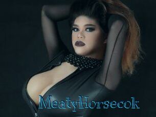 MeatyHorsecok
