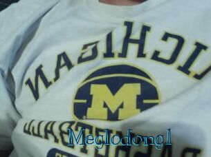 Meglodong1