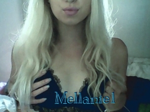 Mellanie1 Archive DVD BIZ