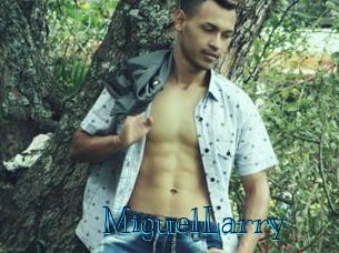 MiguelLarry