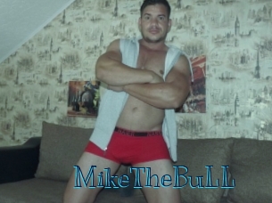 MikeTheBuLL Archive DVD BIZ