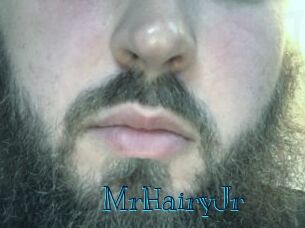 MrHairyJr