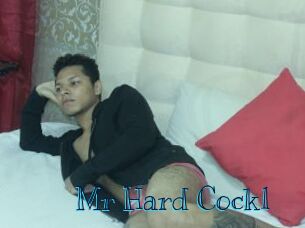Mr_Hard_Cock1