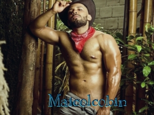 maicolcobin Archive DVD BIZ